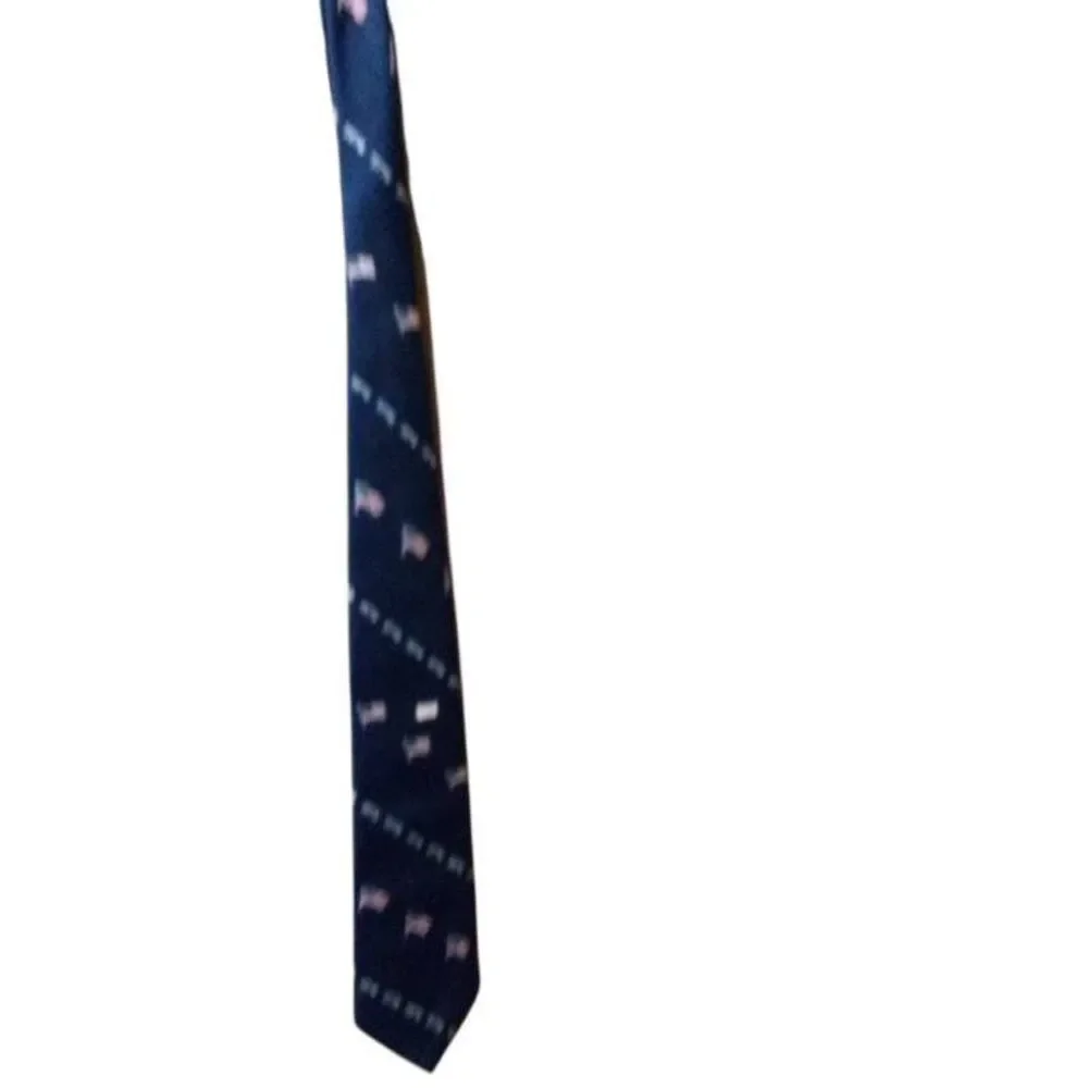 Rare Vintage Bicentennial Nudie Girl Handpainted Tie